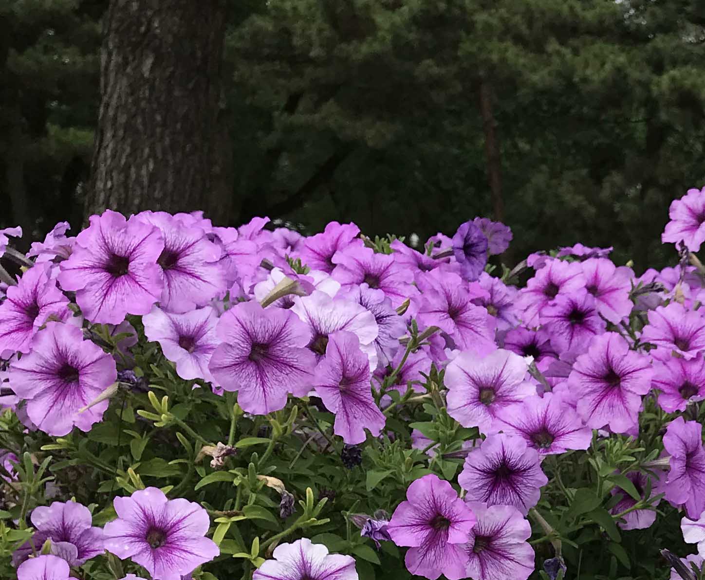 歲月長(zhǎng)歌！